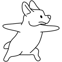 Corgi puppy yoga pose