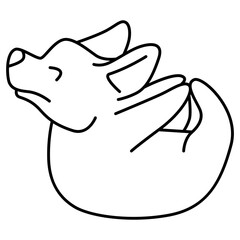 Corgi puppy yoga pose