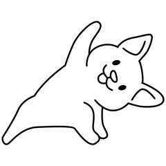 Corgi puppy yoga pose