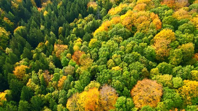 Blue Ridge Mountains, Georgia Drone flyover of mountain forest of trees changing colors in Chattahoochee-Oconee National Forest.