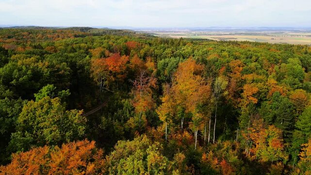Blue Ridge Mountains, Georgia Drone flyover of mountain forest of trees changing colors in Chattahoochee-Oconee National Forest.