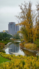 Fototapeta premium multi-storey modern house in autumn park, reflection in water, architecture, lake, yellow leaves of trees