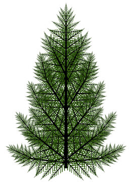 tree with transparent background