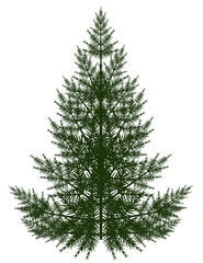Fototapeta premium Christmas tree without decorations with transparent background
