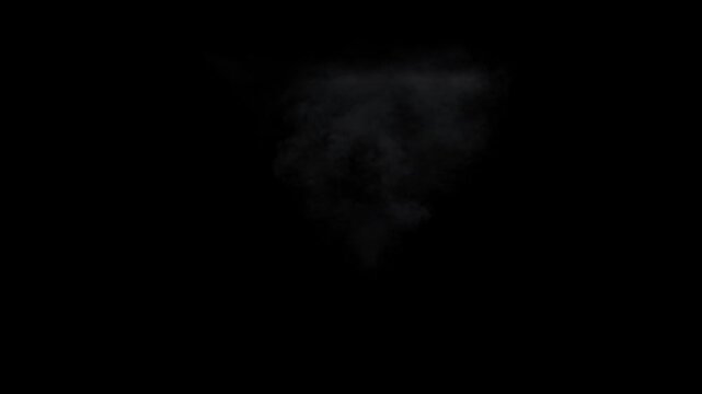 Gas explosion fire front view, transparent background
3d rendering of fire simulation with alpha channel (transparent background)

