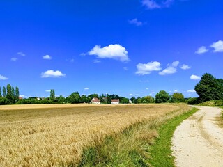 A field in rural Burgundy, France - June 2022