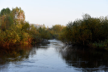 Obraz premium Autumn landscape of a blue lake and yellowing trees. Yellow-green trees by the river in the morning.