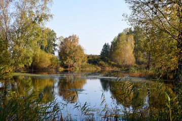 Autumn landscape of a blue lake and yellowing trees. Yellow-green trees by the river in the morning.