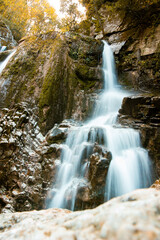 Fototapeta premium Serene waterfall cascades down moss-covered rocks, surrounded by the vibrant colors of autumn foliage.