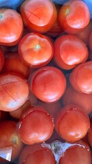 tomatoes about to be boiled 