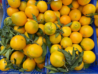 Oranges with leaves in boxes at market in Europe, Italy. Organic local food and health. Seasonal vegetables.