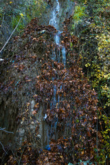 Fototapeta premium Serene waterfall cascades down moss-covered rocks, surrounded by the vibrant colors of autumn foliage.