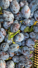 Fresh plums on display at a local market, perfect for culinary use, seasonal recipes, and healthy eating campaigns.