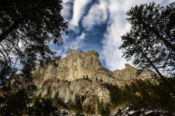 Obraz premium tree in the mountains