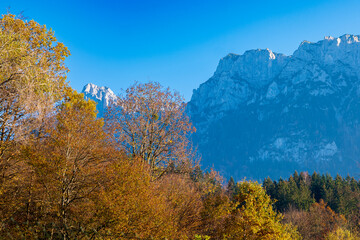 Fototapeta premium autumn landscape with trees