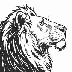 lion head vector
