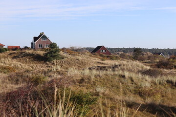 Houses in the dunes on the island of Schiermonnikoog