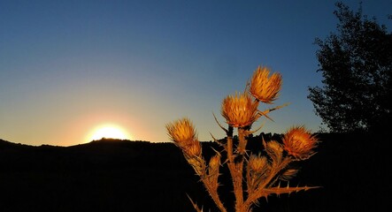 Atardecer puntiagudo