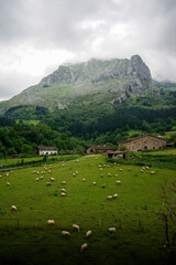 arrazola, basque country