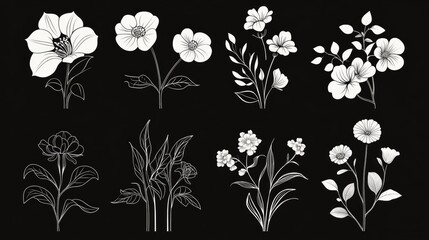 Stunning abstract 2D cartoon flowers in black and white silhouettes perfect for tattoos textiles invitations and promotional materials