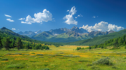 Obraz premium Beyond the green plain were mountains, clean blue with white cumulus clouds, and near by a few tall green spruce pines, high contrast, simple and clean picture, rich details, real photography.