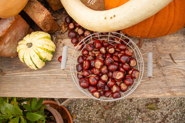 Harvesting, Chestnuts in a Basket and Pumpkins on a Wooden Table Top View