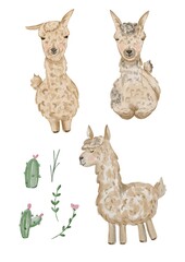 cute lama isolated elements, cute alpaca watercolor elements, lama collection, watercolor lama cliparts, cute alpaca stickers, wild lamas, funny animals, set of illustrations