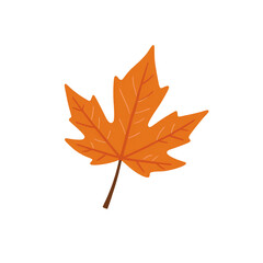 simple autumn leaf cartoon vector illustration isolated