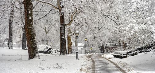 Central Park in winter
