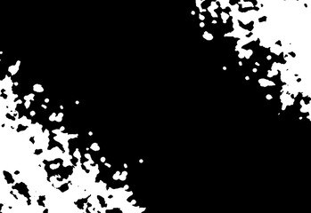 Fototapeta premium Paints black and white brush texture background