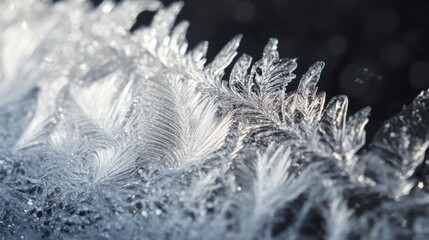 Intricate ice crystals forming unique frost patterns on a surface