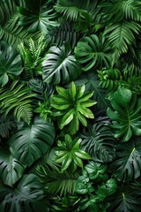 Vibrant greenery featuring a variety of leaves in natural harmony during daylight hours
