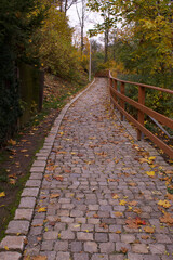 a path in the park made of cobblestones among the trees is surrounded by a wooden fence