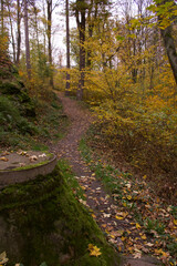 The path leading through the autumn park with a well covered with moss