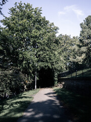 river in the park