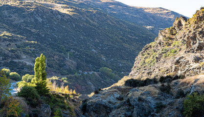 Hills mountains on a sunny clear day good weather covered in bush New Zealand