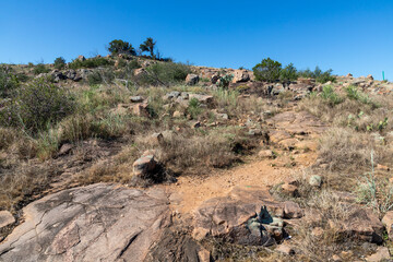 Trail around rocks and vegetation at Inks lake