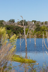 Trail around Inks lake