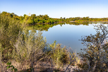 Lake reflection with trees in Brushy Creek Regional Trail