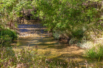 Fototapeta premium Water stream with trees in Brushy Creek Regional Trail