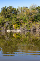 Lake reflection with trees in Brushy Creek Regional Trail