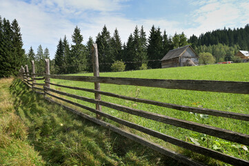 Wooden fence separating a farm pasture from a forest in the Carpathians, Ukraine.