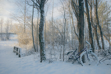 A lonely bicycle leans against a tree in a snow-covered forest on a bright winter day.