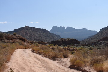 Dirt Road in the Canyons