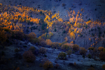 One of the forested regions of Turkey is Kızılcahamam. Türkiye.
