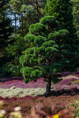 Nepal Himalaya park near Regensburg Germany