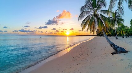 Serene Sunset Over Tropical Beach with Palm Trees and Calm Waters in Tranquil Paradise