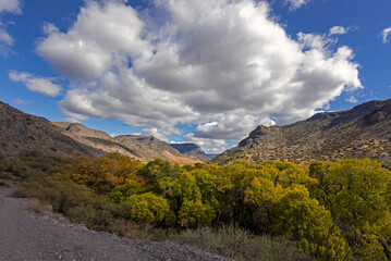 Fall Colors On West Clear Creek Recreation Area In Arizona 2024