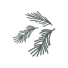 Fir branch of pine tree. Xmas evergreen plant element. Vector Christmas tree green decoration. Perfect for invitation, greeting card, poster, print. svg icon