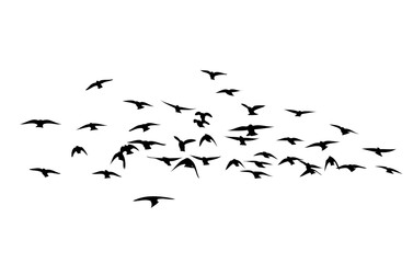 Flying birds silhouette flock. hand drawing. Not AI. Vector illustration.
